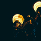 Illustration for article titled 35 of Your Most Dazzling Photos Of Lights